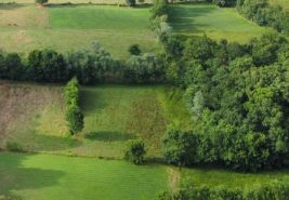 Manavpınarı’nda – Deniz ve Sakarya Nehri’ne Yakın Satılık Arsa!